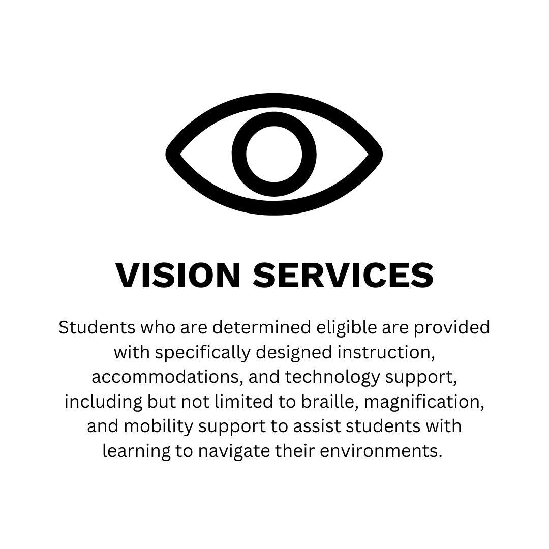 vision services